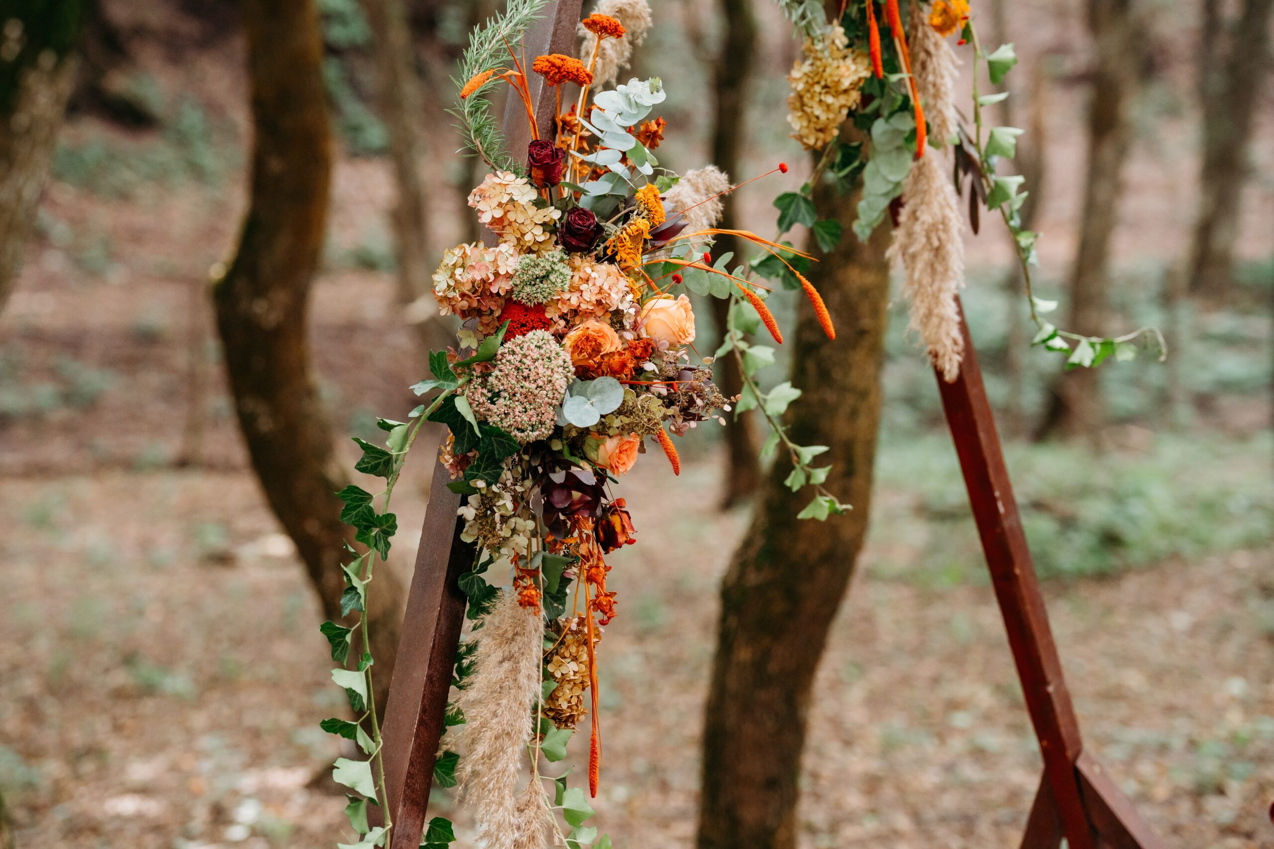 david dori eskuvo 0661